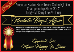 Newbelle Royal Affair.png